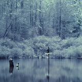 Winter warmers vol.3