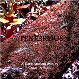 Tenebrous :: 2hr Dark Ambient Set