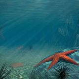 Deep Investigations III