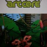 Ambient jungle part One
