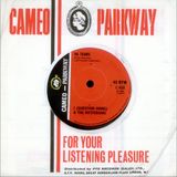 A heady and diverse blend of Psych/Garage/Pop/Hybrid Jazz and Folk for your listening pleasure.