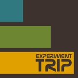 Experiment Trip 001