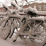winter lover