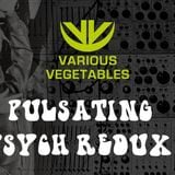 Future Music FM VegRadio #15 - Pulsating Psych Redux