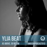 Amoeba Label Podcast 013 :: Ylia Beat