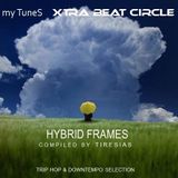Hybrid Frames