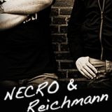 NECRO & Reichmann at Kollektiv Mehlstrasse 2011-11-19