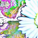 DAISIE | 27th June 2013 | ALL FM 96.9