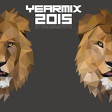 Hakunamatata - French Yearmix 2015
