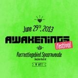 Joseph Capriati @ Awakenings Festival 2013 at Spaarnwoude 29-06-2013