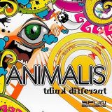 Animalis - Fat Vibrations (Roy Remix)