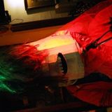 Aural Delights - Monkeys In Love Special