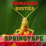 Primavera Rüstica (Dj Rüstico Springtape)