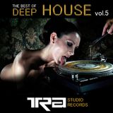Best Of Deep House VOL.5
