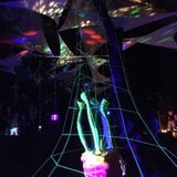 Jaques BouBou - Live @Psygarden 2015
