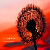 Pusteblume