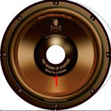SOUND OF STADIUM #1
