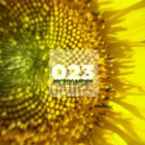Microgarden #023 by Pervis Navarro at Loca Fm