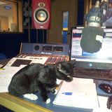 A purrrrrrrfect CAT story...
