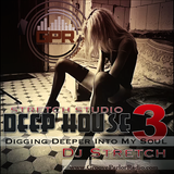 DEEP HOUSE 3 Digging Deeper Into My Soul ( Dj Stretch )