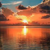 Good Night