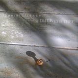 A Duck in a Tree 2015-06-06 | The Perihelion Narrative