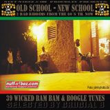 Crucial vibes -Oldschool - Newschool 2008