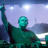 DJ Sneak live at EXIT Festival 2011