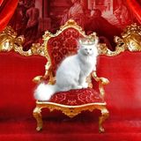 'Royal Vibes' ~ Chill Trap Mix.