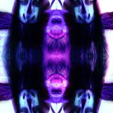Malware - Where The Wild Things Are Vol 1