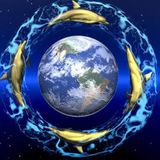 Dream of the Dolphin: Enigma Remix Project