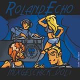 Roland Echo Mixgeschick Vol.I