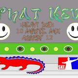 Heavy Dubstep 10 Minute Mix up! August 12