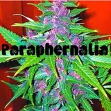 Paraphernalia