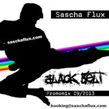 Sascha Flux - Black Belt (Promomix sep2013)