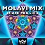 MOLAVI MIX - MIAMI MIX 2013
