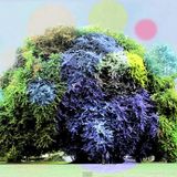 out of tune season 1 volume 1 - Yo La Tengo
