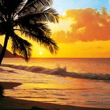 Bossa Nova, Salsa, Cumbia, Latin America