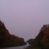 Oscilații autumnale