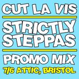 Strictly Steppas Launch Party mix - The Attic, Bristol, 7th June 2012