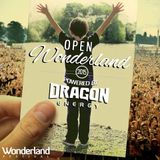 DYLAN SIMMS - Open Wonderland