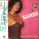 ゲスト:SANDII 細野晴臣 DaisyWorld - 1999年07月10日