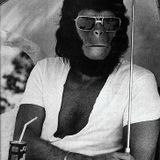 Daytrip to the Planet of the Apes