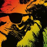 Reggea RockSteady