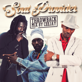 DJ CeeJay - Soul Provider Throwback (Reggae Mix)