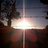 Low Winter Sun