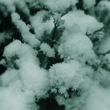 Higher Street Mini Mix