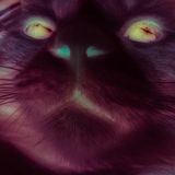 scumix4