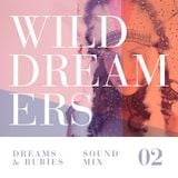 Wild Dreamers / Sound Mix 02