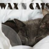 Wax n' Cats #92 w/ DJ Lgcc & FUNERALS